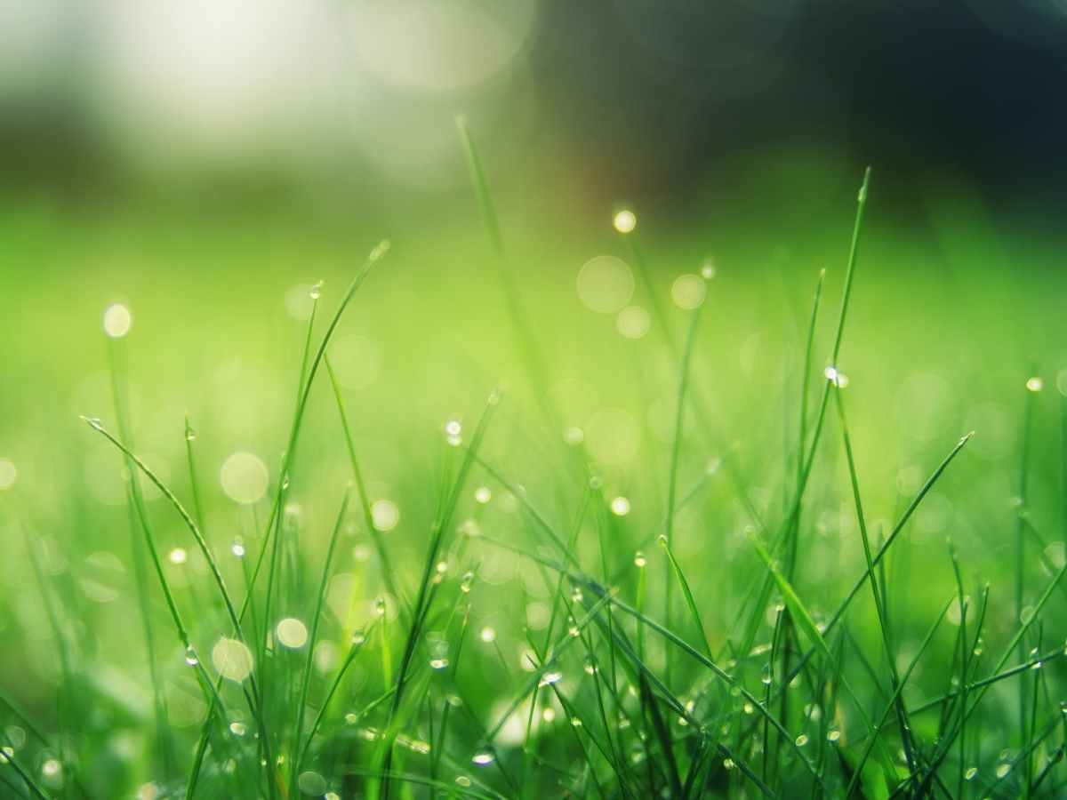 【お知らせ】今年の棚卸は今年のうちに