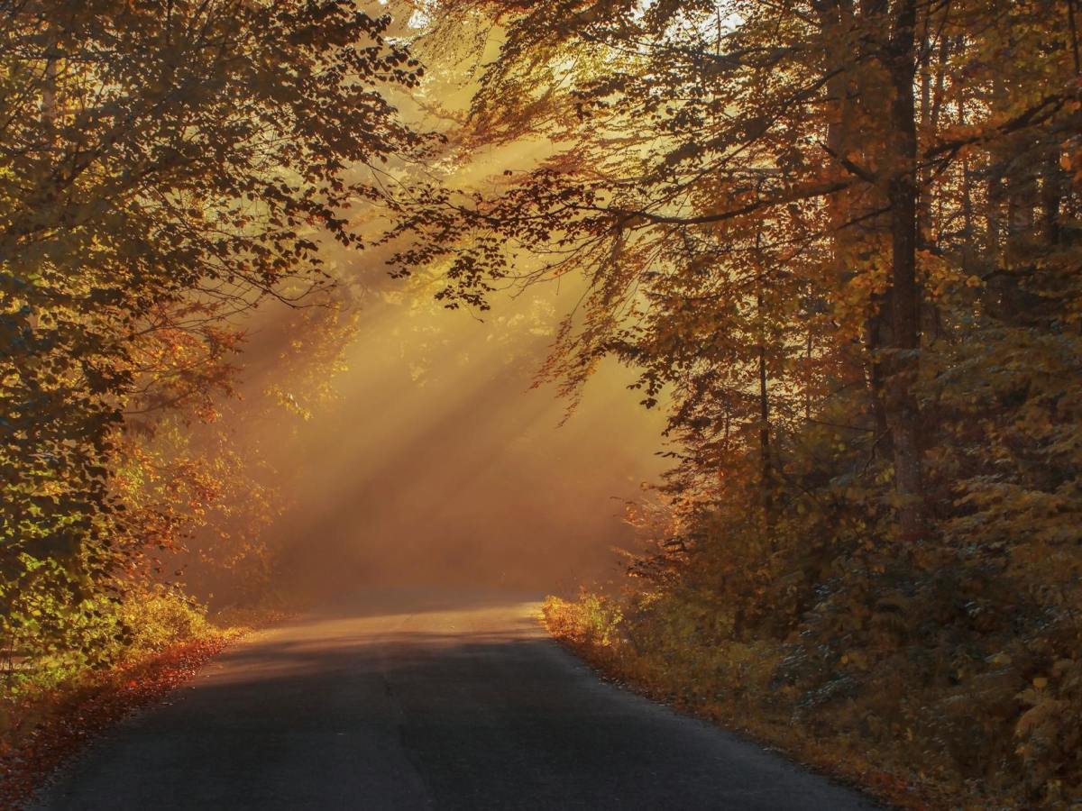 新しい自分に出会う