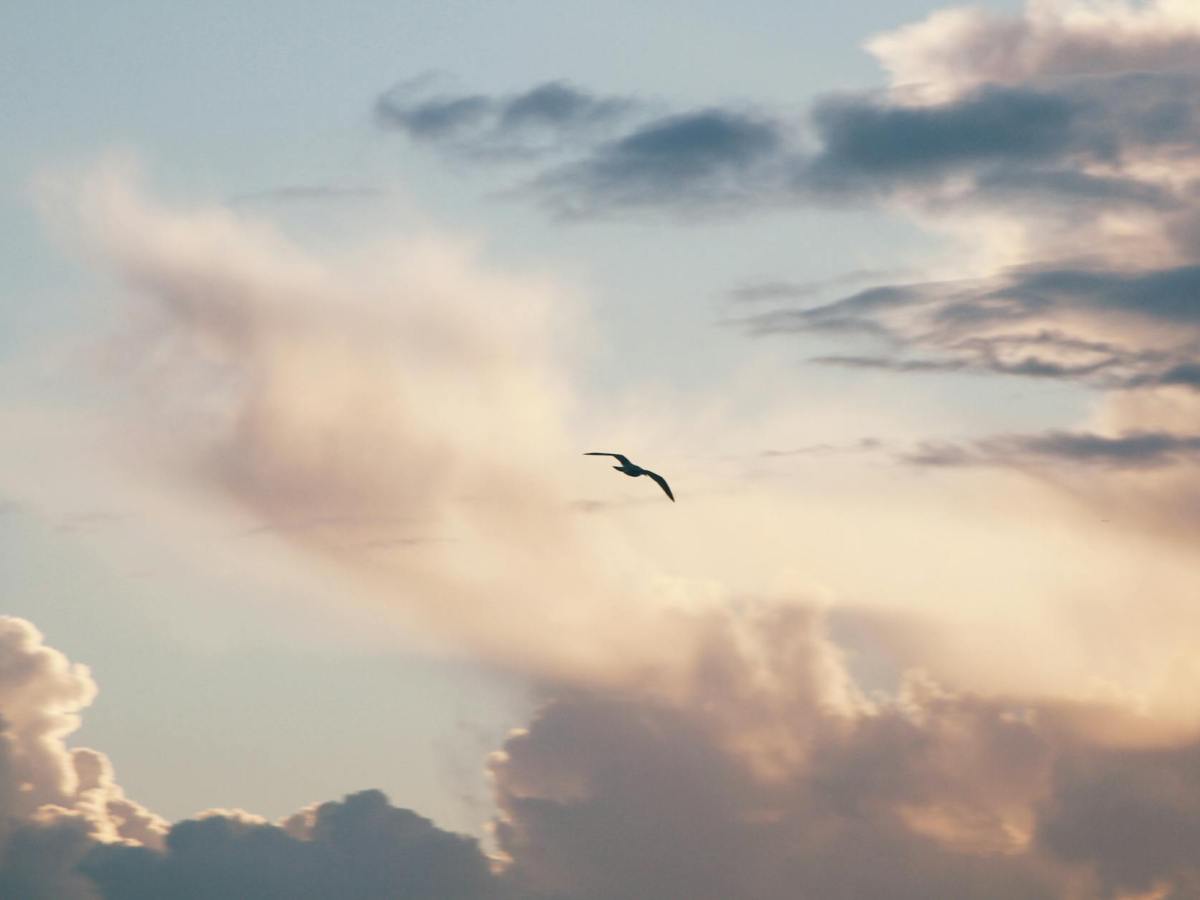 いろんな視点を入れる？