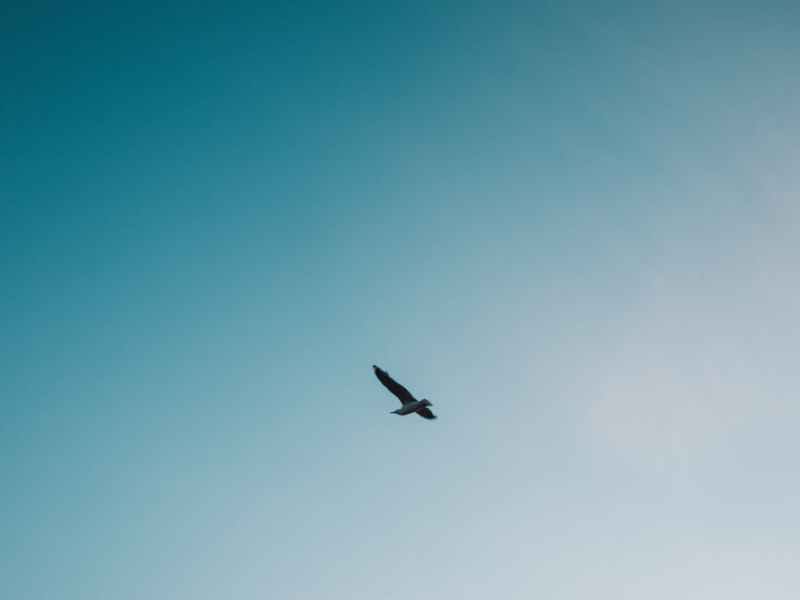 とんでもなく自由になっちゃうよ