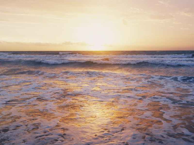 その望みは、本当の望み？