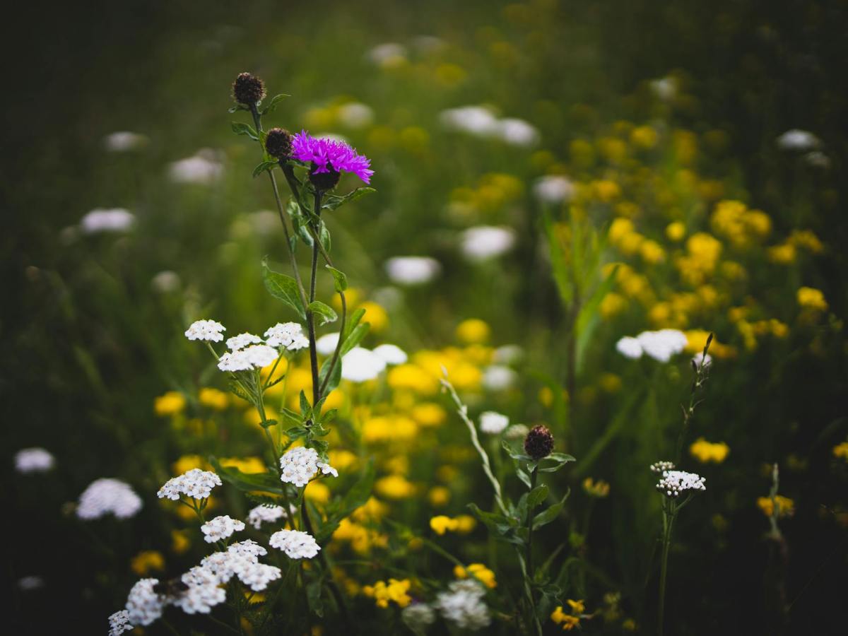体は全部知っている
